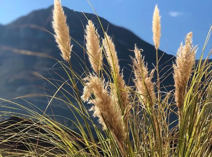 公寓 Casa Tobe 梅纳焦